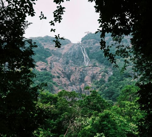 Dudhsagar Waterfall Tour