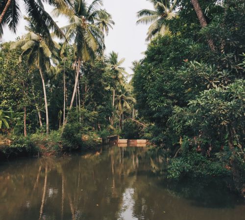 Konkan on Board Tour